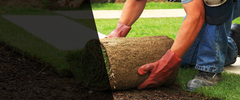 New Jersey Landscapers